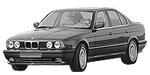 BMW E34 P256F Fault Code